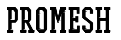 PROMESH Two Fast