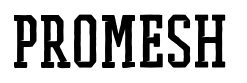 معاينة PROMESH Two