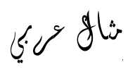 معاينة مكس ديوان جالي س و