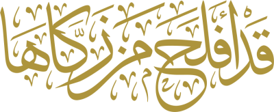 عنصر تصميم احترافي من أندلسي